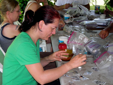 click on this photo to see an enlargement