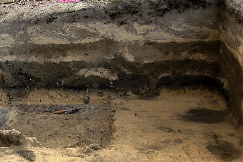 click on this image to see an enlargement