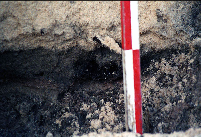 click on this image to see an enlargement