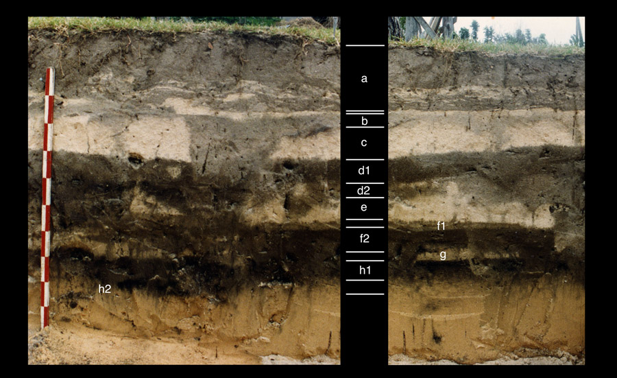 click on this diagram to see an enlargement