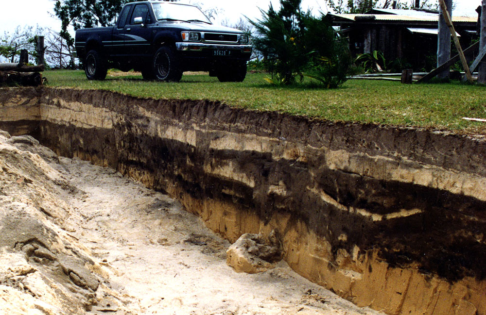 click on this photo to see an enlargement