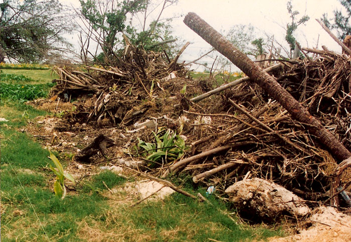 click on this photo to see an enlargement