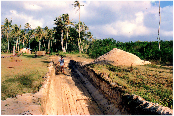 click on this image to see an enlargement