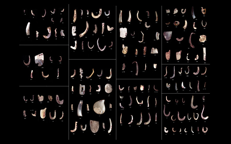 click on this image to see an enlargement