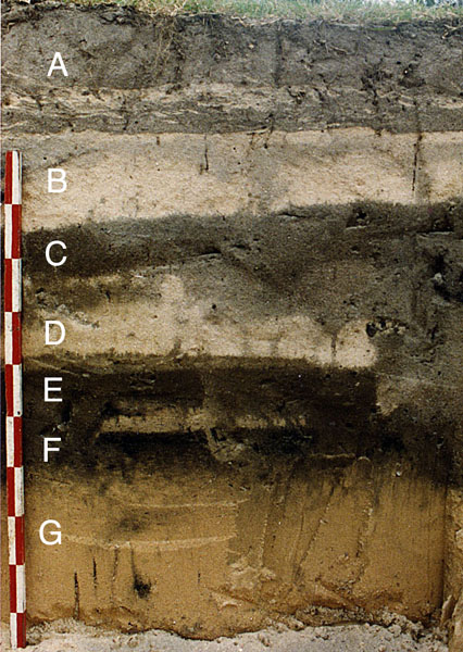 click on this image to see an enlargement