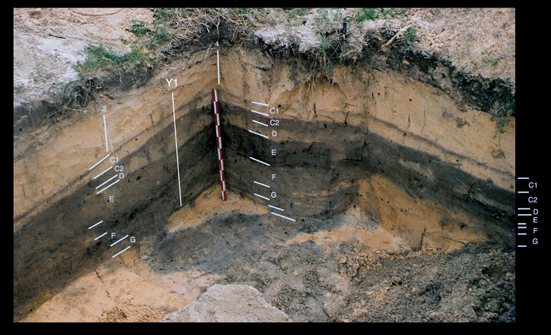 click on this image to see an enlargement