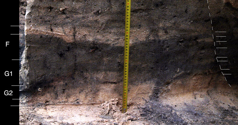 click on this photo to see an enlargement