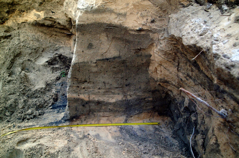 click on this photo to see an enlargement