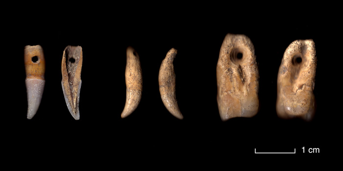 click on this image to see an enlargement