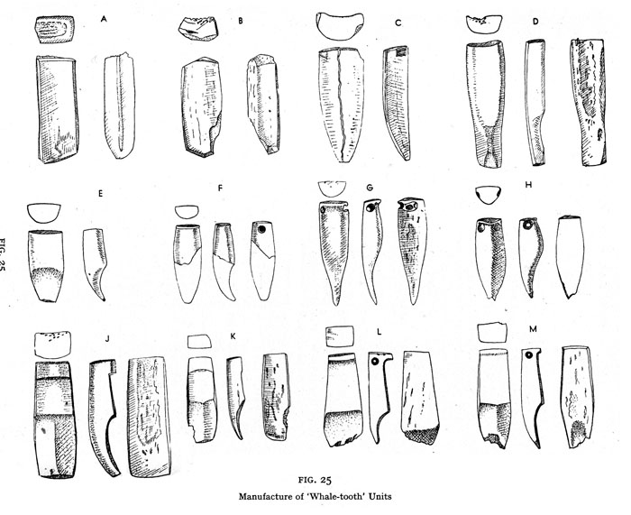 click on this image to see an enlargement