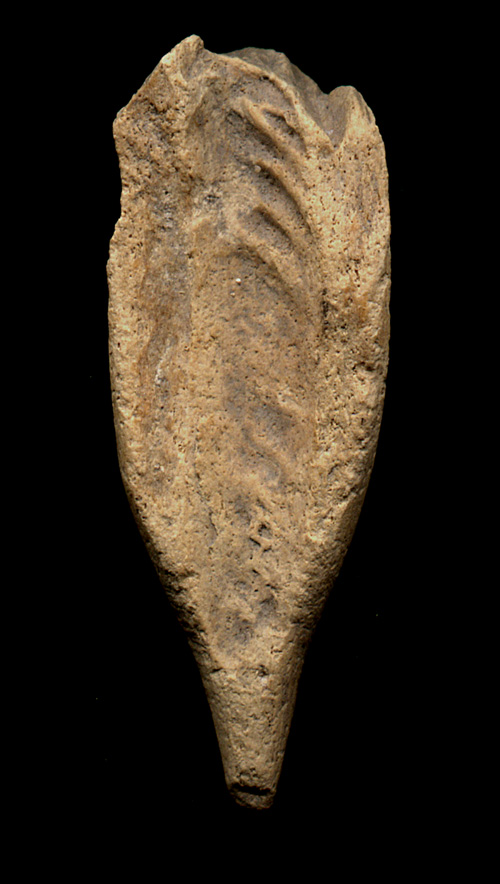 click on this image to see an enlargement