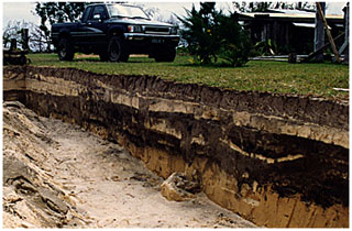 click on this to see the Shutler Profile