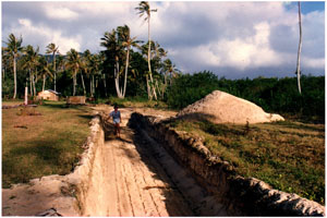 click on this image to link to Atiahara history page