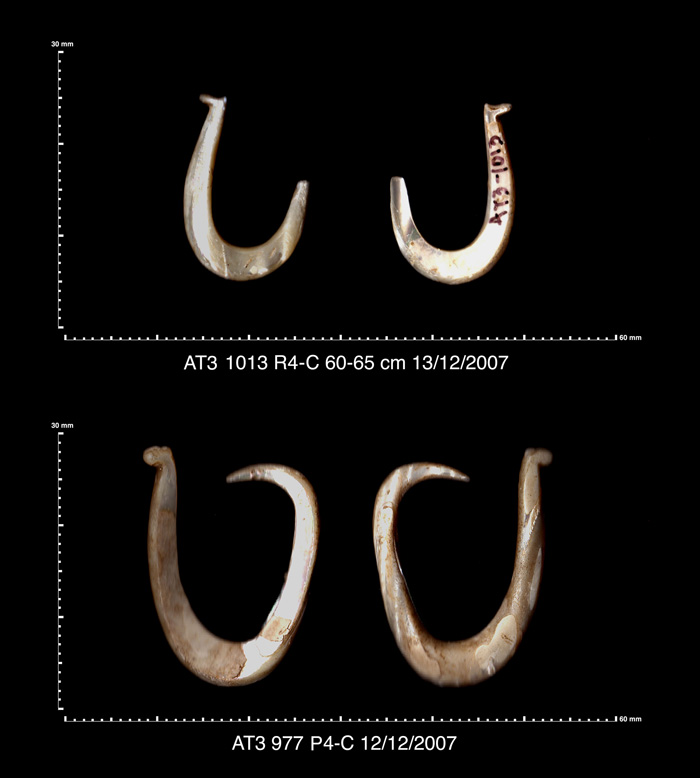 click on this image to see a 600dpi enlargement