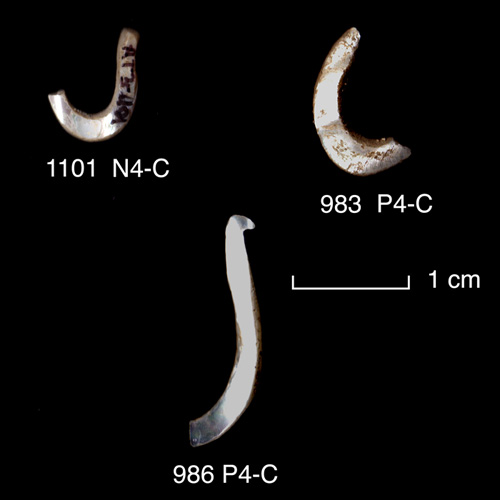 click on this image to see an enlargement